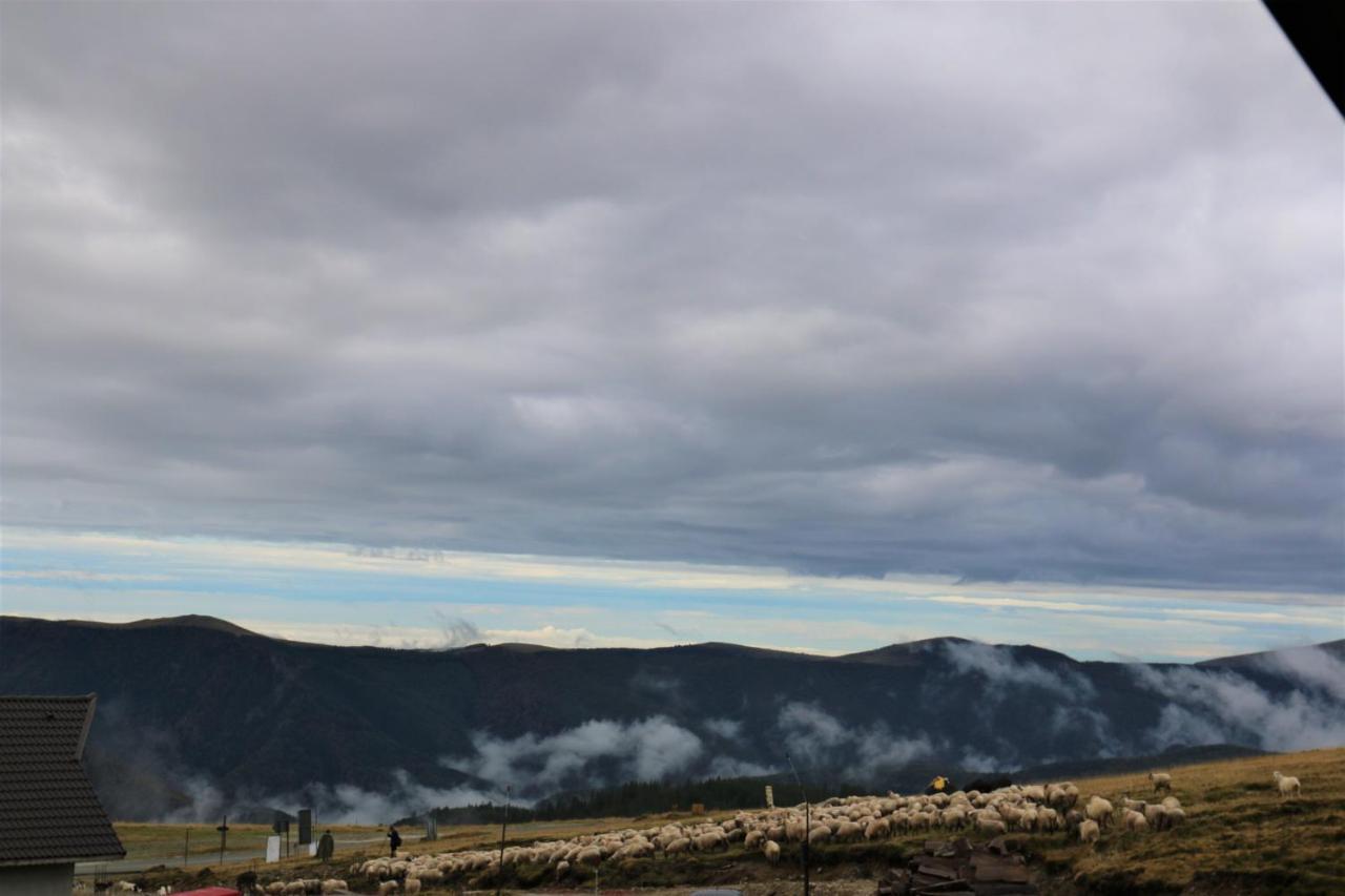 Cabana Transalpina Рынка Экстерьер фото