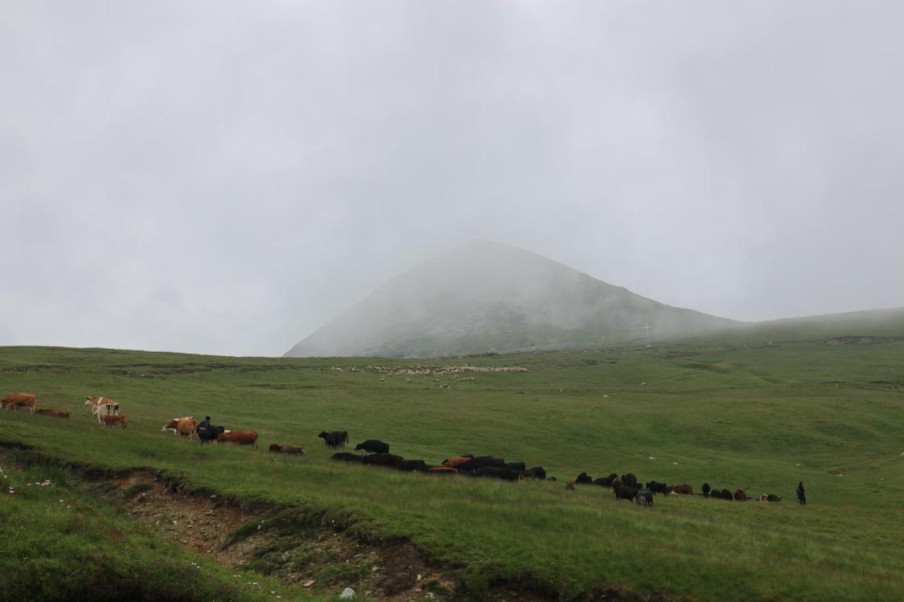 Cabana Transalpina Рынка Экстерьер фото