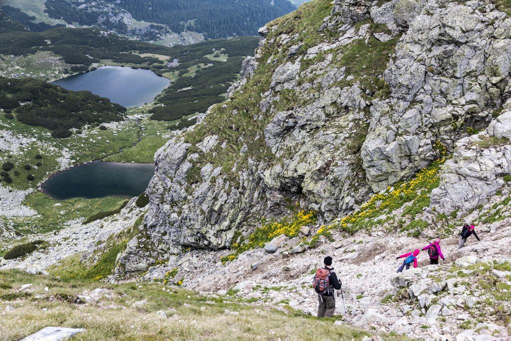 Cabana Transalpina Рынка Экстерьер фото
