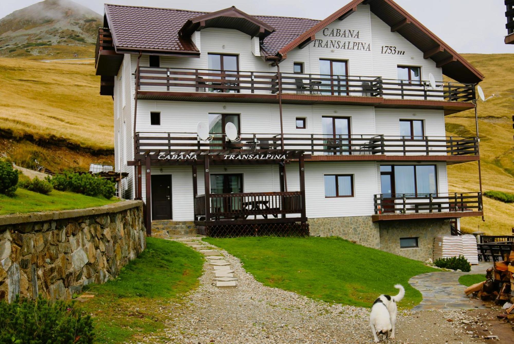 Cabana Transalpina Рынка Экстерьер фото